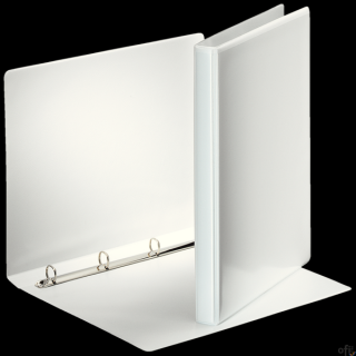 Segregator PANORAMA A4 4RR/16 30mm biały ofertowy ESSELTE 49700