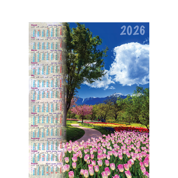 Kalendarz Plakatowy B-1, P04 - PARK 2026