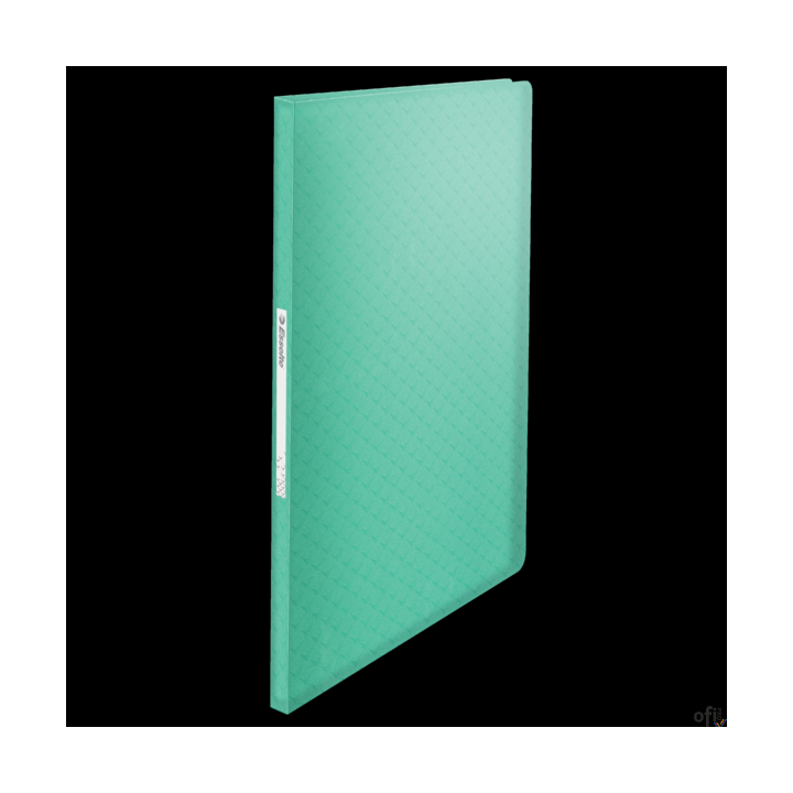 Album ofertowy Esselte ColourBreeze, z 60 koszulkami, zielony 626233 Esselte