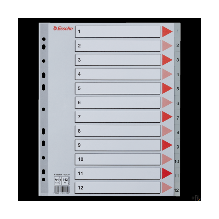 Przekładki plastikowe szare PP alfabetyczne A4 Esselte, 1-12 maxi, , 100125