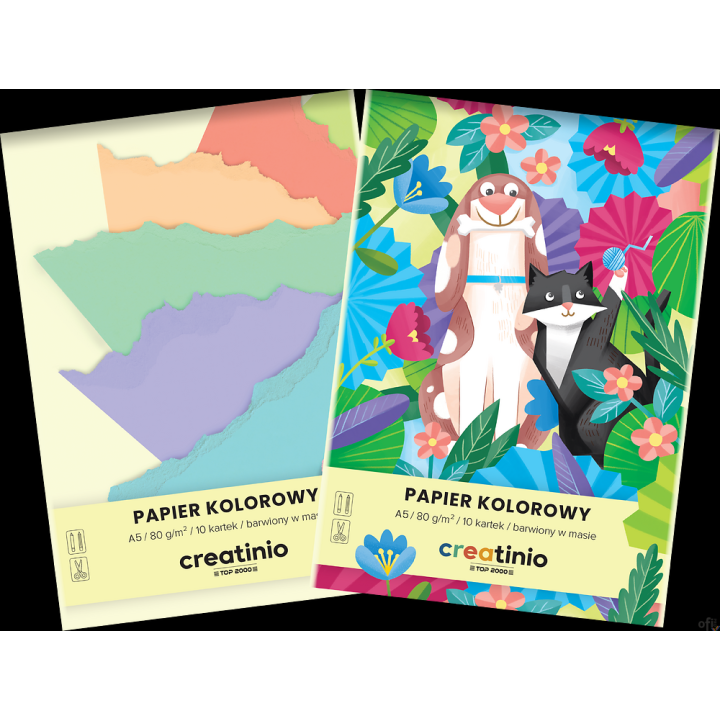 Papier kolorowy Top 2000 Creatinio A5 10 kartek 80 g 400176683