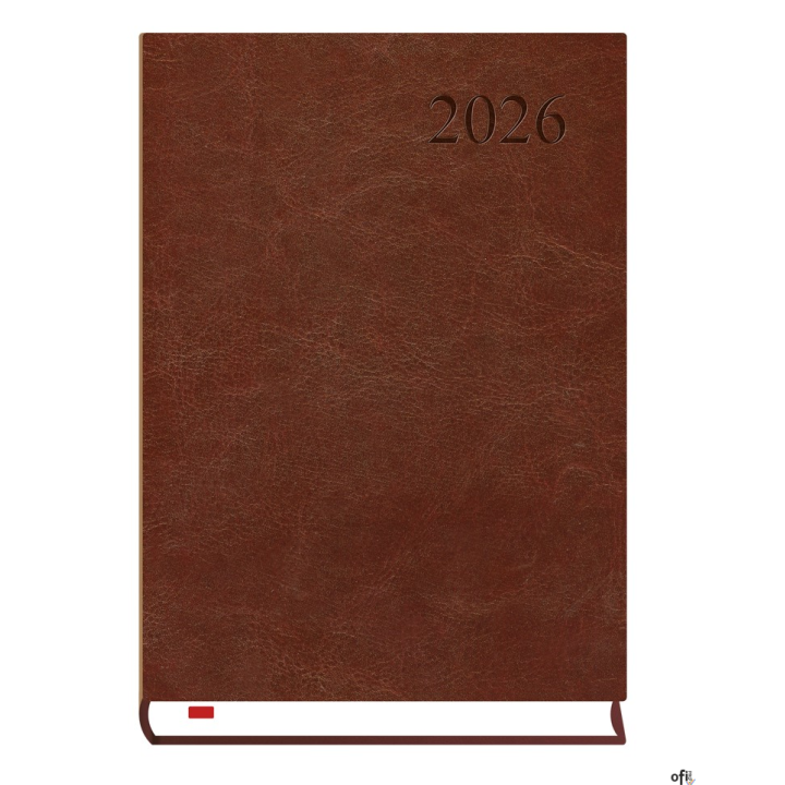 Kalendarz Asystent ALASKA A5 2026 - c.brąz Michalczyk i Prokop T-237A-S2