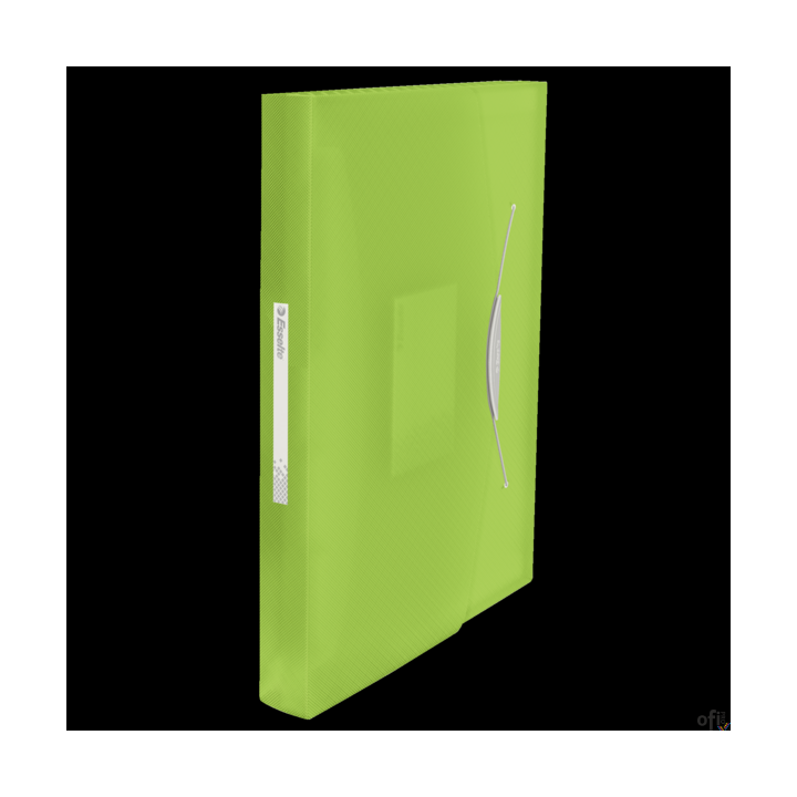 Teczka z przegródkami ESSELTE VIVIDA zielona 624019