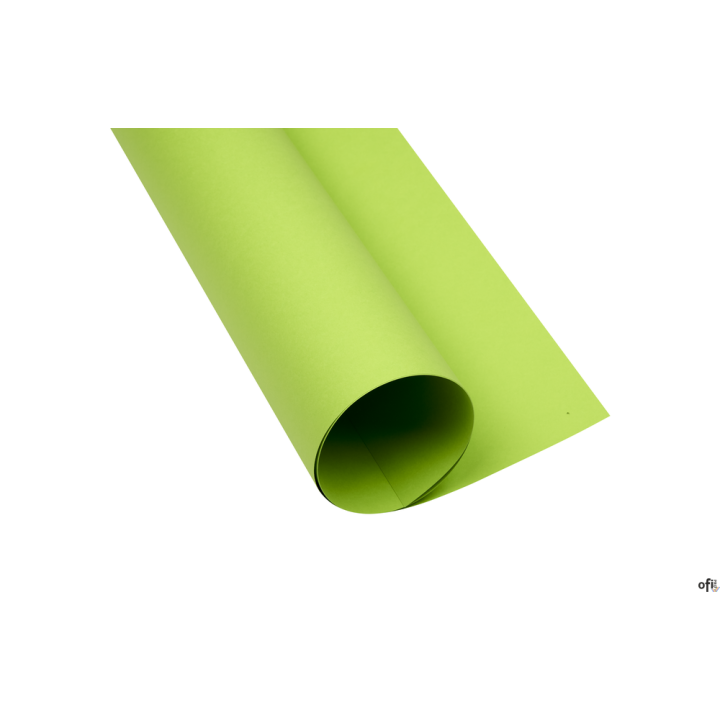 Karton kolorowy A3 160g 25ark jasnozielony 400150240 OXFORD