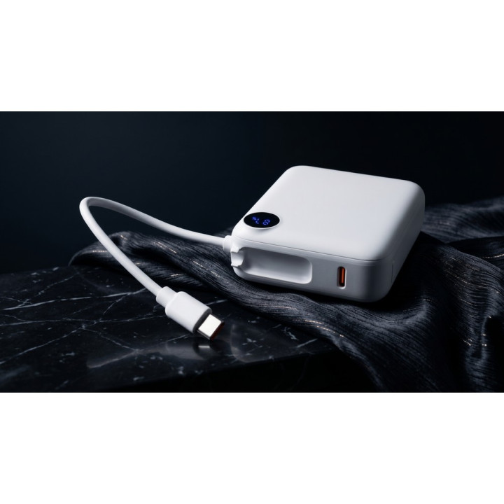 Power bank 10000 mAh | Alula