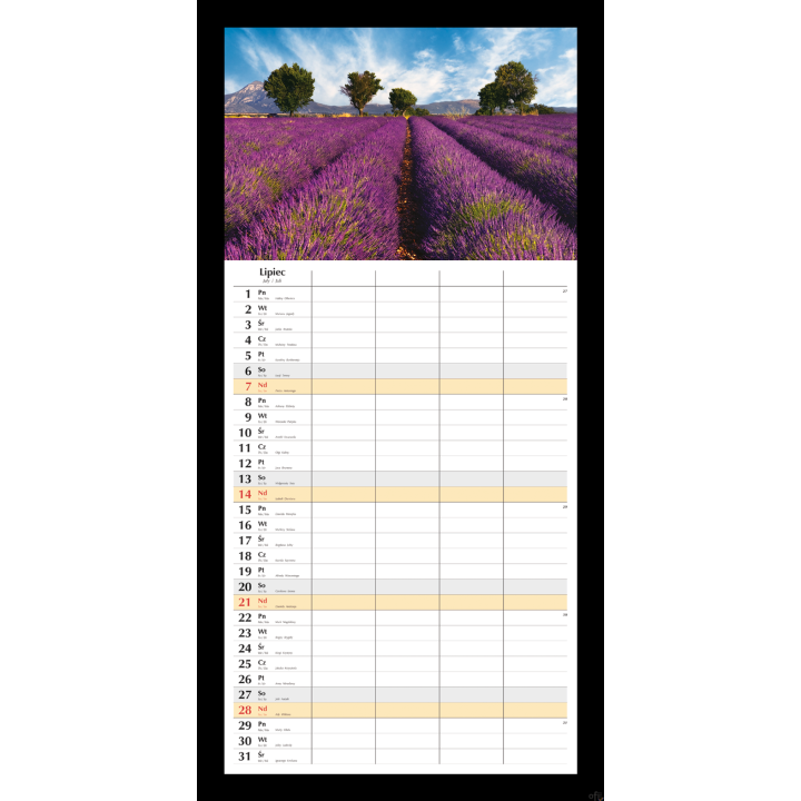 Planer miesięczny 2024 Michalczyk i Prokop T-108S-2  kalendarz ścienny