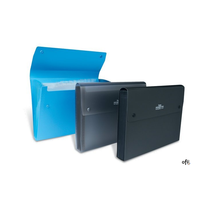 Teczka harmonijkowa A4 13kiesz. czarna przezroczysta DCD14AT PENTEL