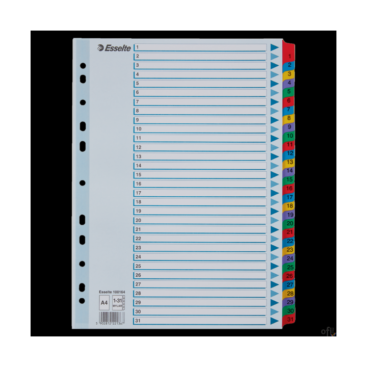 Przekładki kartonowe MYLAR A4 1-31 100164 białe ESSELTE