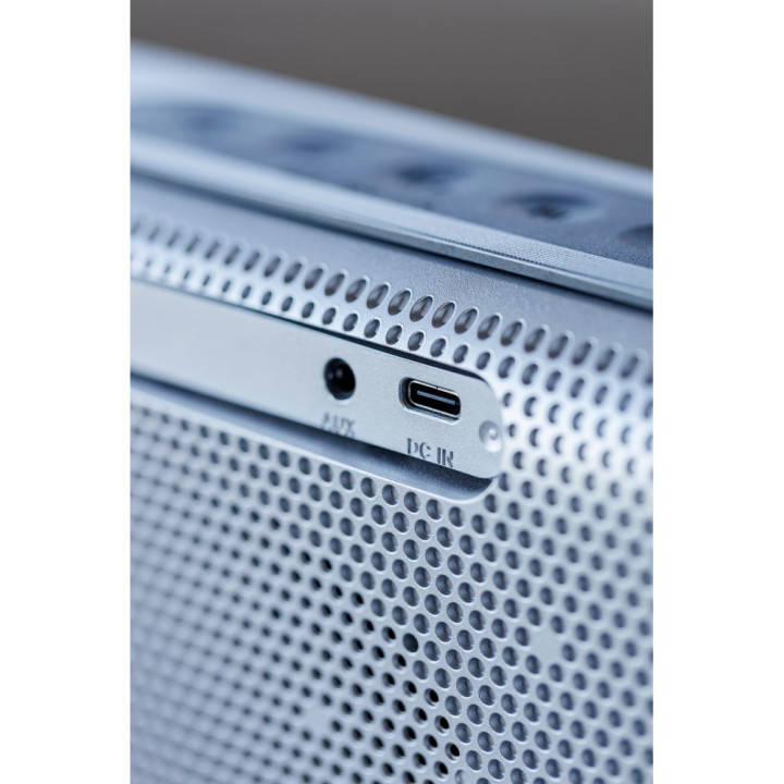 Głośnik bezprzewodowy 16W BrandCharger Nano Beast
