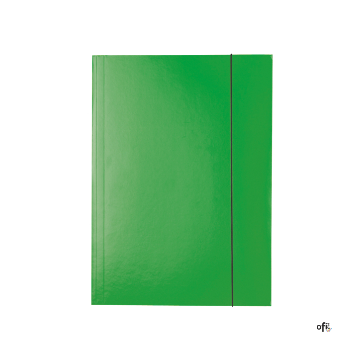 Teczka lakierowana z gumką A4 zielona ESSELTE 13437
