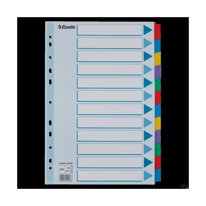 Przekładki, kolorowy karton, karta opisowa Mylar A4, Esselte, 12 kart, , 100169