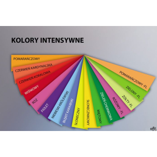 Papier xero A4 160g fioletowy 1018 250ark xca41018