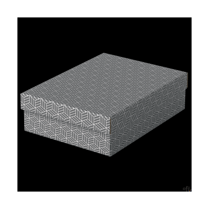Pudełka domowe do przechowywania, płaskie, rozmiar M, 3 sztuki, szare Esselte 628285