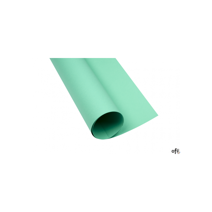 Karton kolorowy Creatinio A2 160g 25ark nr.64 seledynowy 400150190 TOP-2000