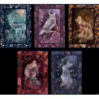 Zeszyt Top Fairytale A5 60 kartek 70 g kratka z marginesem Top 2000 400182429