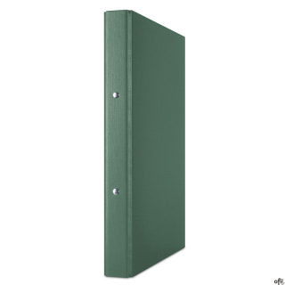 Segregator ringowy A4/2R/20mm 3732001-06 zielony