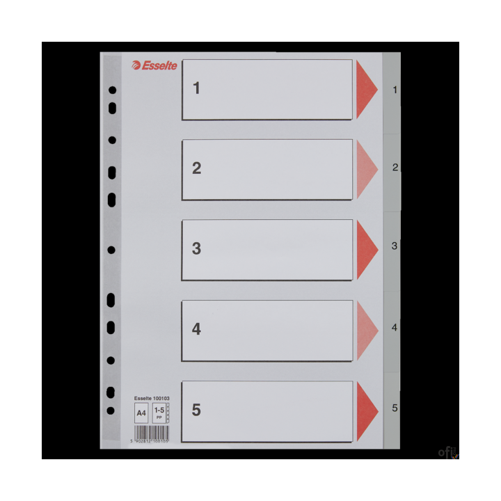 Przekładki plastikowe szare PP A4 1-5 100103 numeryczne ESSELTE