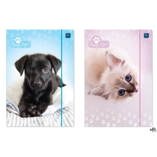 Teczka z gumką A4+ LUX UV PUPPY SIGN 5406 INTERDRUK