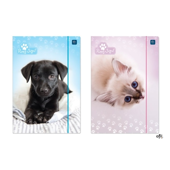 Teczka z gumką A4+ LUX UV PUPPY SIGN 5406 INTERDRUK
