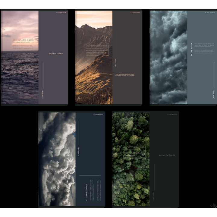 Zeszyt Top Birds Eye A5 96 kartek 70 g kratka z marginesem 400182452