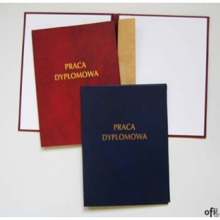 Okładka praca dyplomow.339-005 WARTA