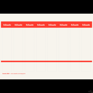 Etykiety do segregatorów 29x158mm(10x8) białe kartonowe ESSELTE 20821