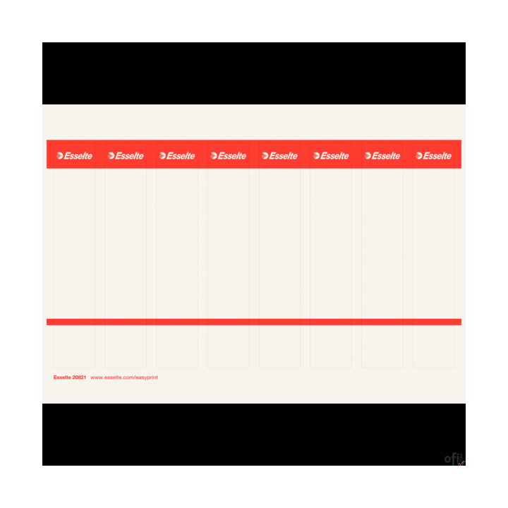 Etykiety do segregatorów 29x158mm(10x8) białe kartonowe ESSELTE 20821