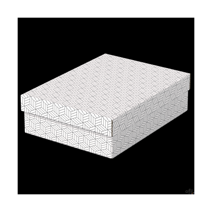 Pudełka domowe do przechowywania, płaskie, rozmiar M, 3 sztuki, białe Esselte 628284