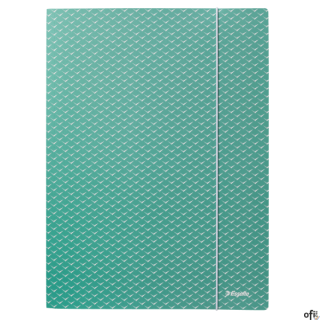 Teczka kartonowa z gumką Colour"Breeze, A4, zielona 628493