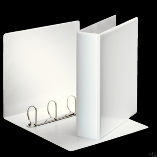 Segregator PANORAMA A4 4DR/50 77mm biały ofertowy ESSELTE 49705