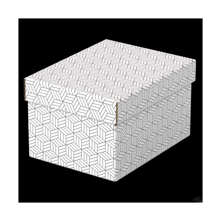 Pudełka domowe do przechowywania, rozmiar S, 3 sztuki, białe Esselte 628280